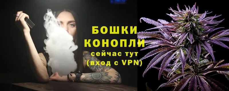 где купить наркоту  Бабушкин  ссылка на мегу маркетплейс  Каннабис White Widow 